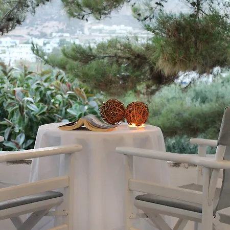 아파트호텔 Nissiotiko 드리오스