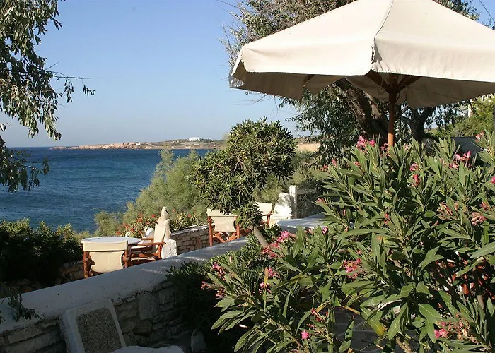 Nissiotiko דריוס