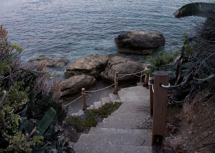 Nissiotiko דריוס