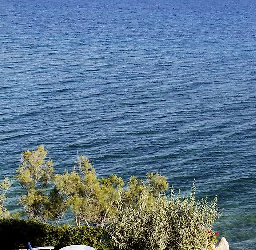 Nissiotiko מלון דירות דריוס