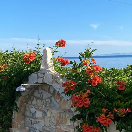 Nissiotiko Drios