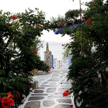 尼斯欧提科酒店 3* 德里奥斯